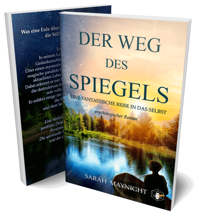 Cover Der Weg des Spiegels