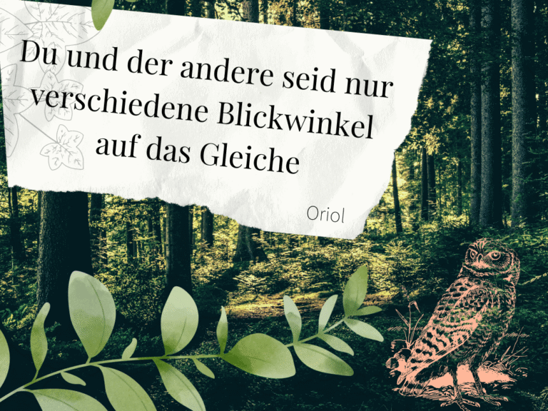 Zitat aus dem Roman: Du und der andere seid nur verschiedene Blickwinkel auf das Gleiche